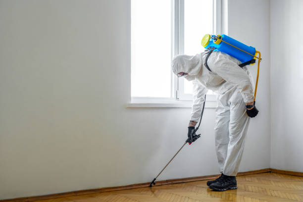 Professional Pest Control in Lamesa, TX