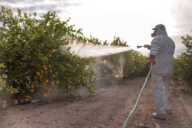 Pest Prevention Services in Lamesa, TX