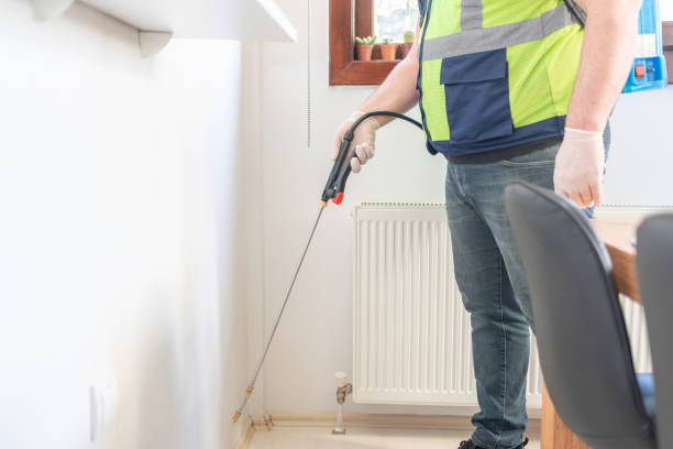 Best Flea Control Services  in Lamesa, TX