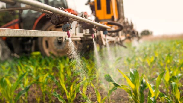 Reliable Lamesa, TX Pest Control Solutions